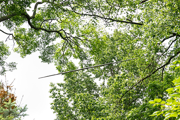 12.Rickey 20200523 cheekwood 0313