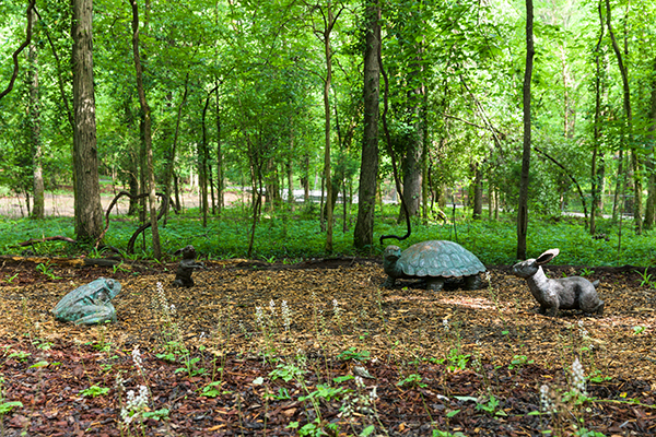 2.Fleming 20200523 cheekwood 0076