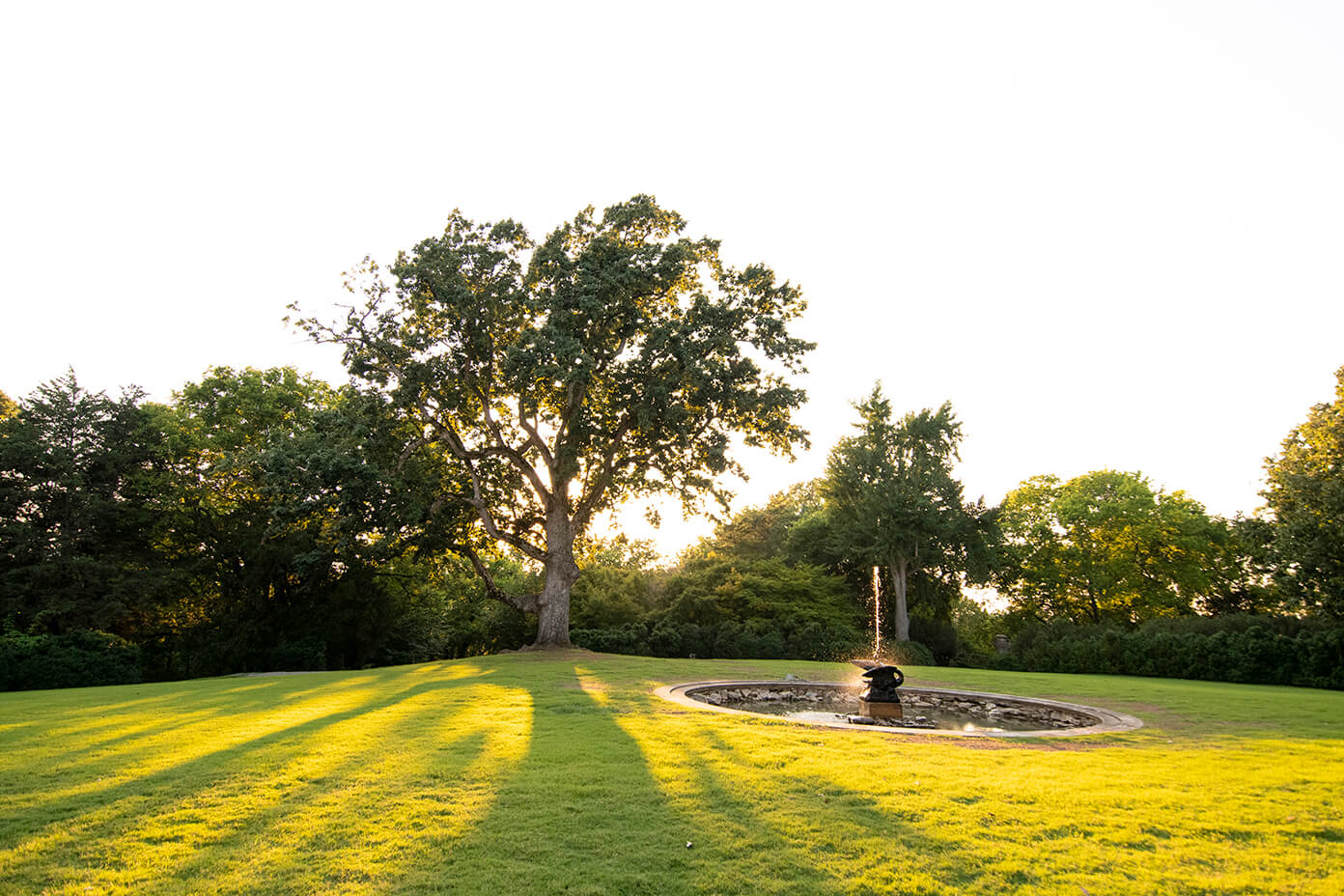 2019August Cheekwood Summer DSC3467