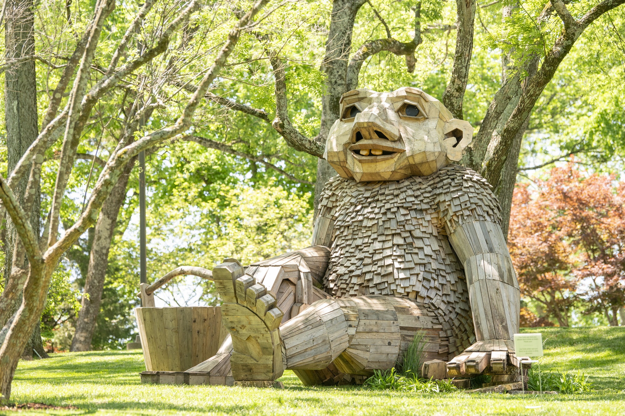 2024May_Trolls_CHarris_DSC8990 (1)