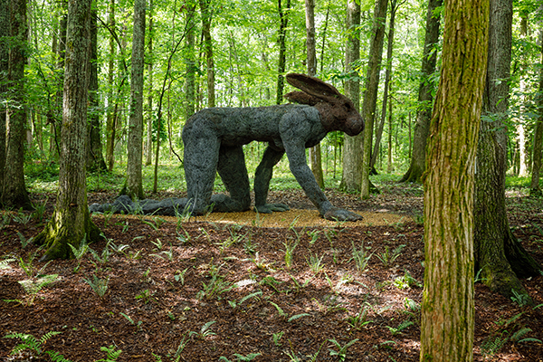 6.Ryder 20200523 cheekwood 0250
