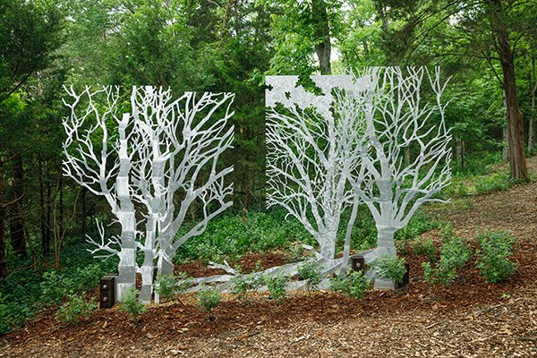 9.Scott 20200523 cheekwood 0334