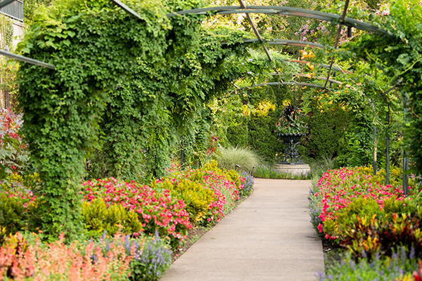 Bradford Robertson Color Garden