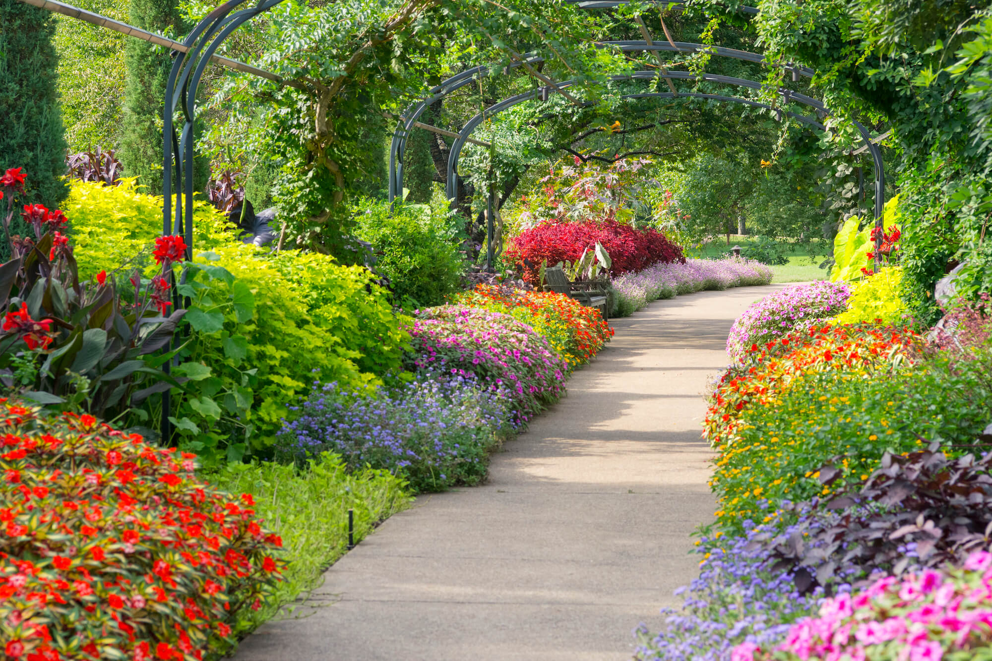 Bradford Robertson Color Garden CaitlinHarris Summer2016 1