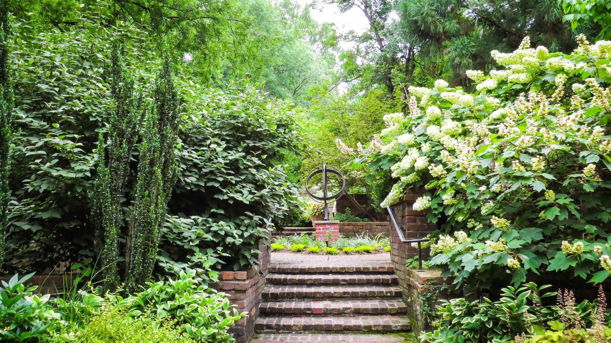 Burr Terrace Garden IMG 1765 3 1
