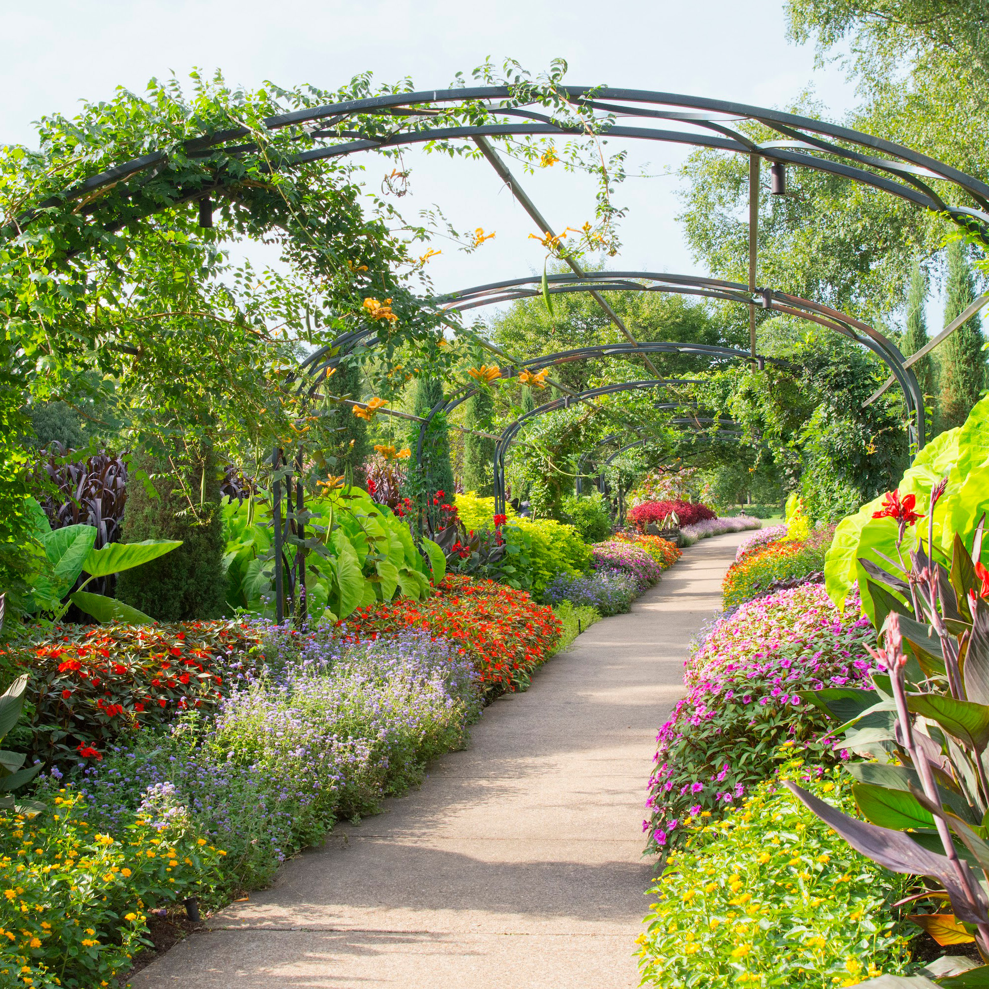 CaitlinHarris_Cheekwood_Summer_CheekwoodSociety