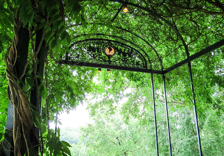 Cheekwood Legacy Society Wisteria Arbor 1