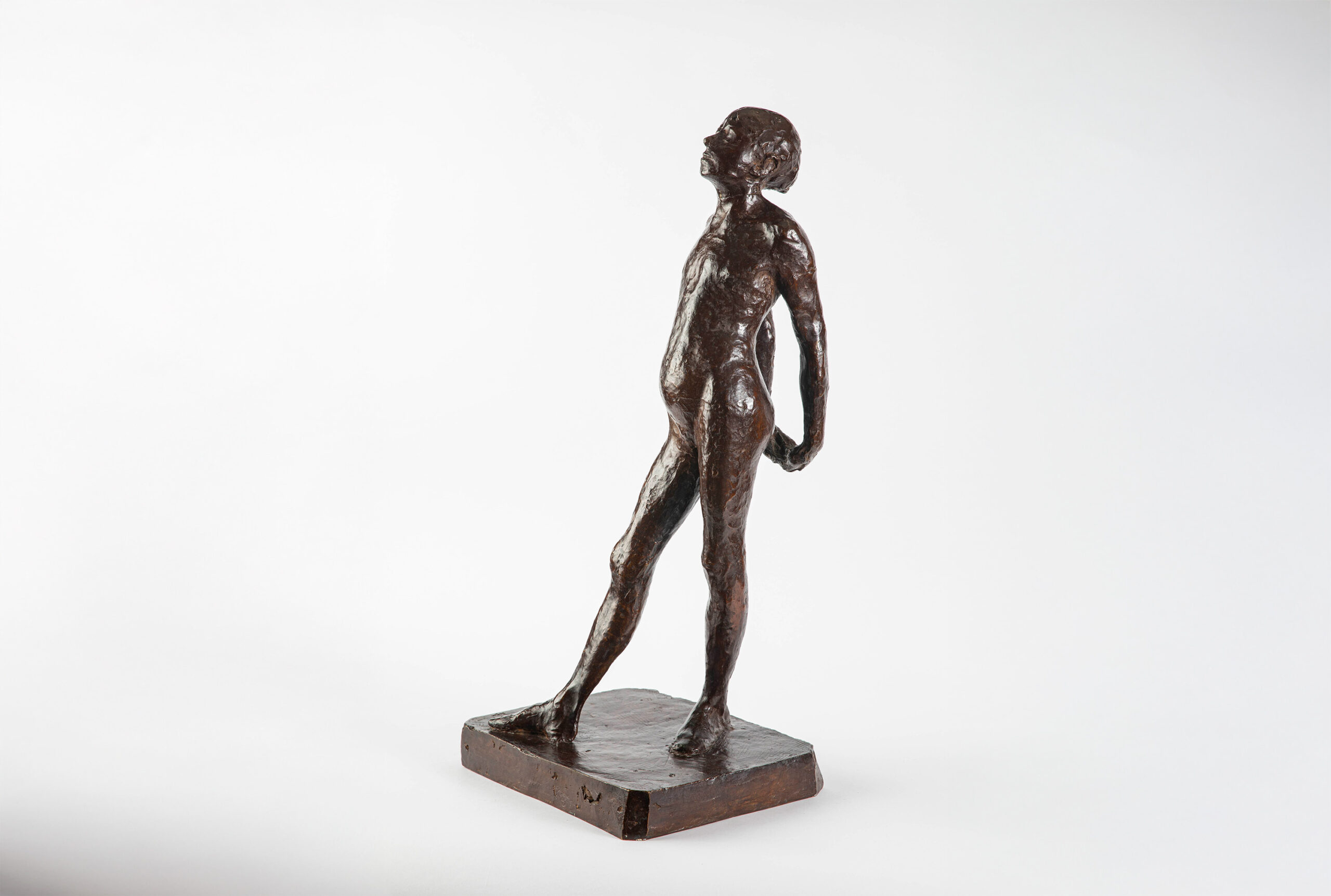 Degas20-8