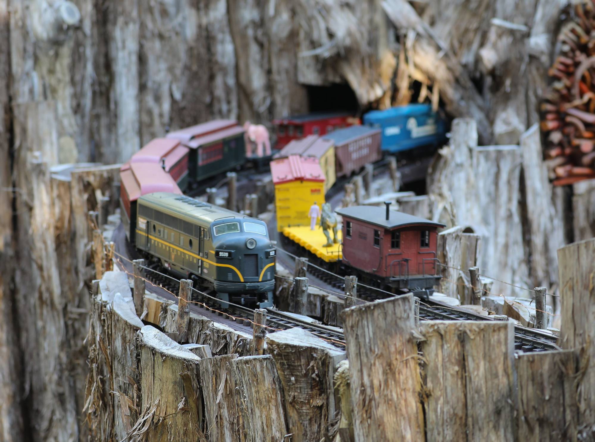 harvest2019 image42 1 scaled 1