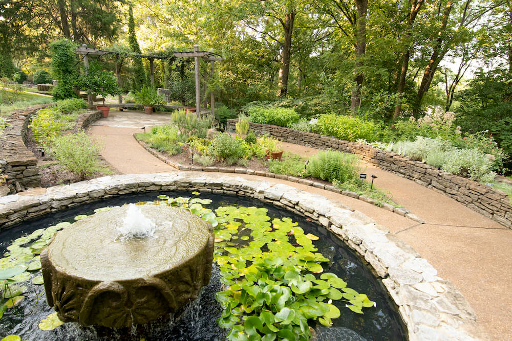 Herb Study Garden 2019