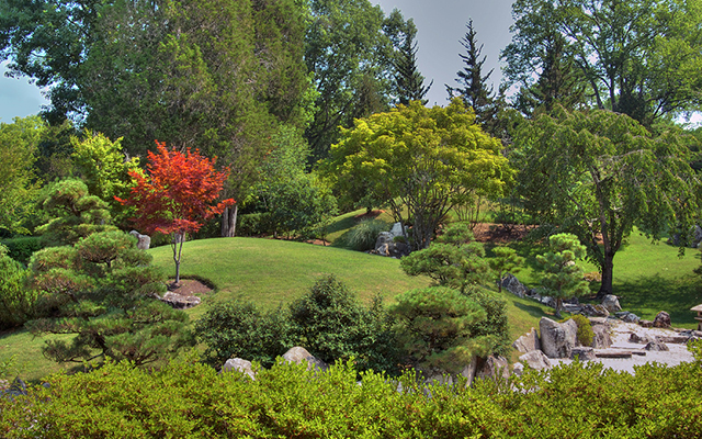 Japanese Garden Schamp Steve Frizell