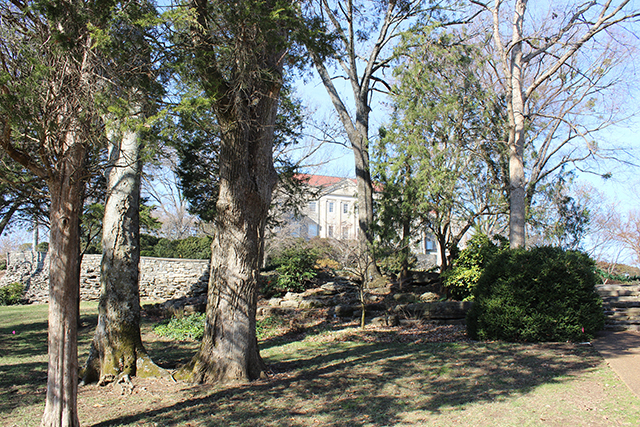 mansion winter