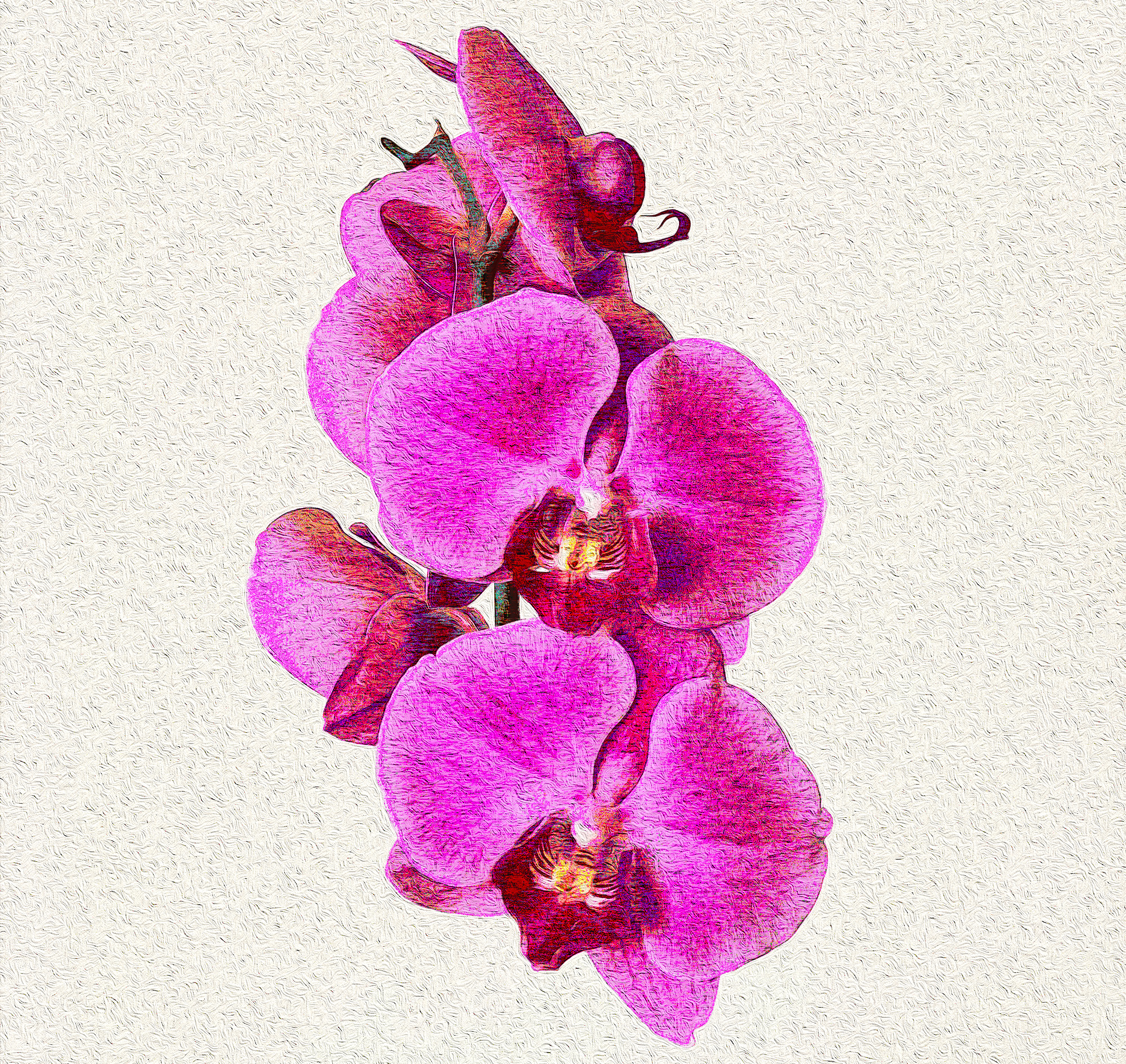 Orchids-Paint