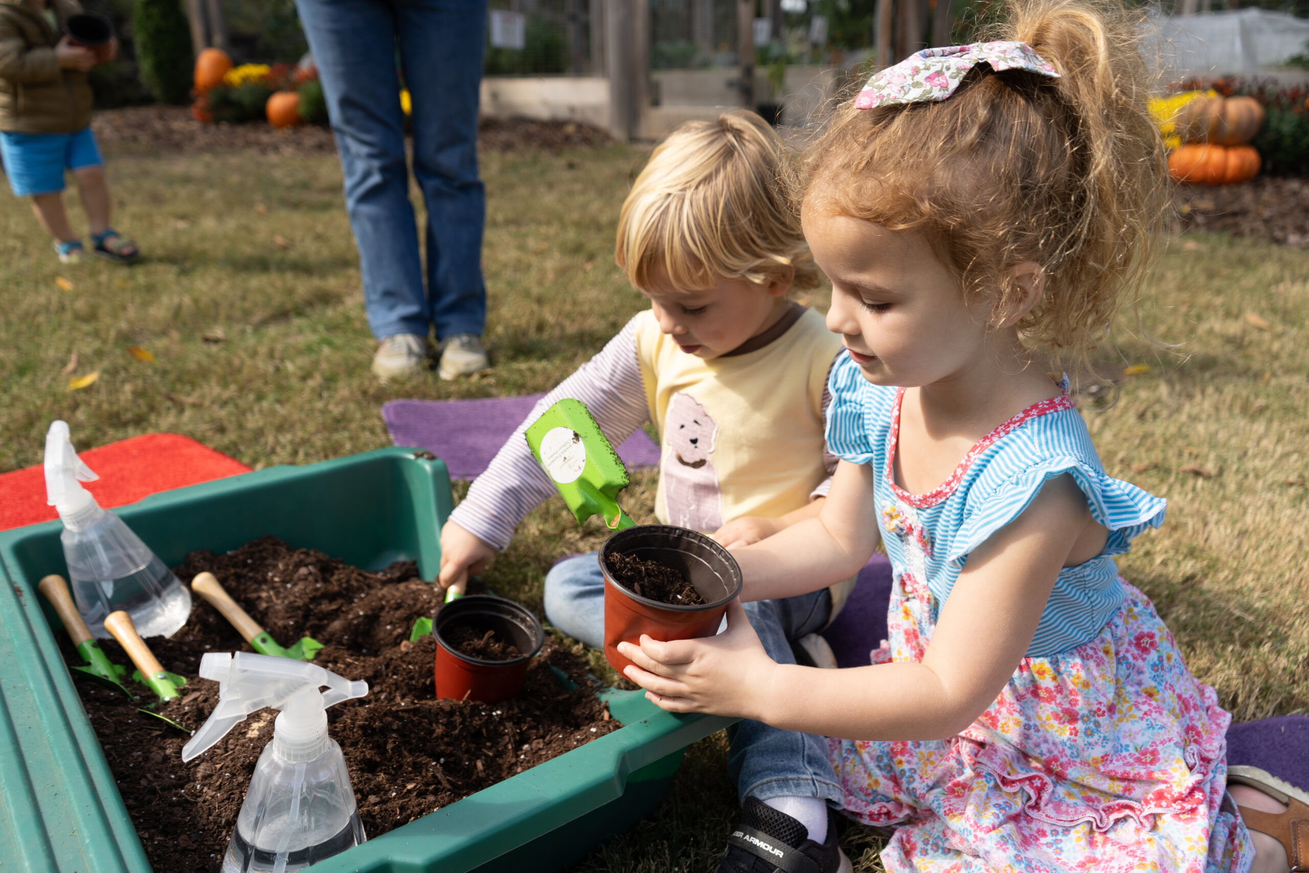 TOTS GROWS - Photo