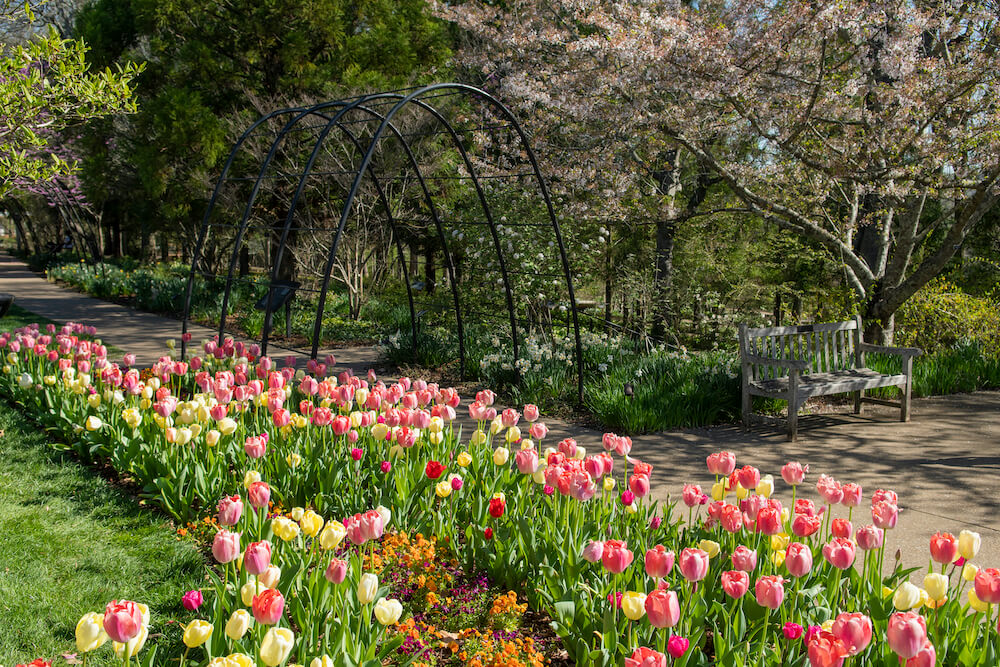 Turner Seasons Garden