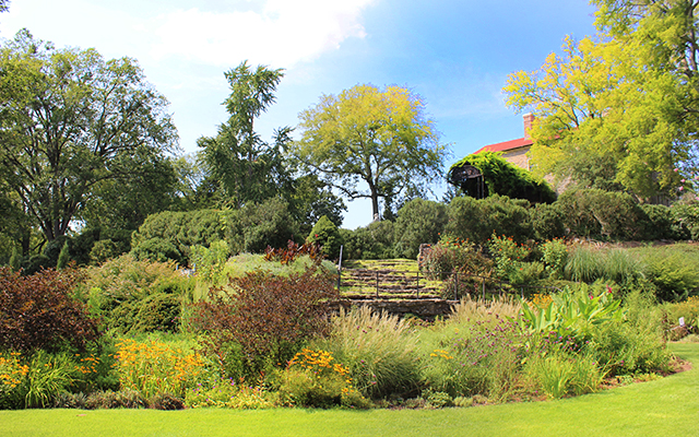 wills perrenial garden