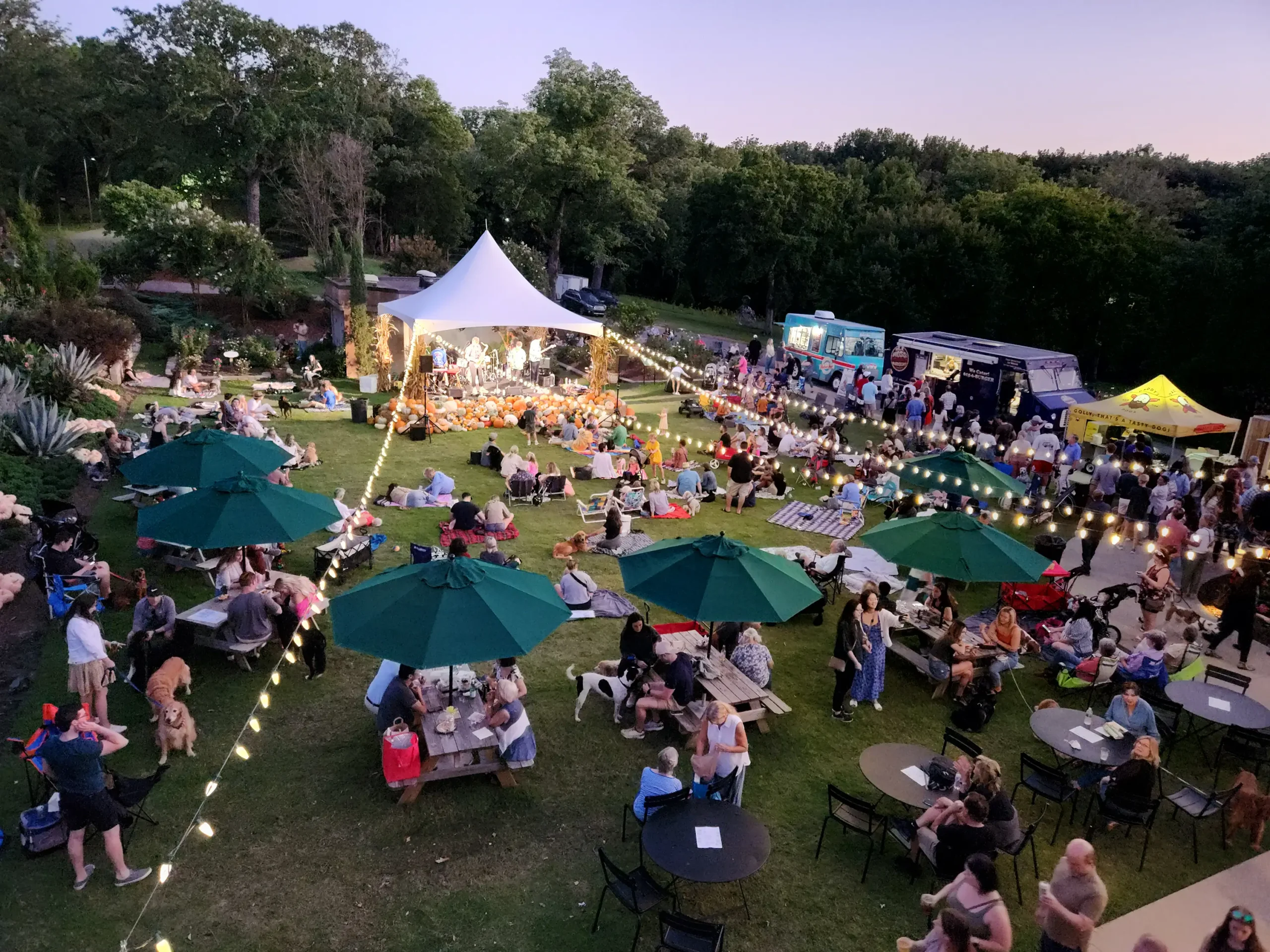 Beer Garden Night- Fall 2023
